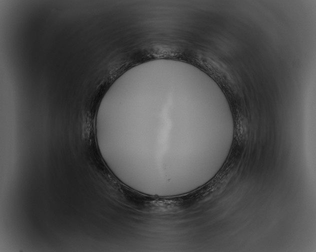 X0000095680367200801291202