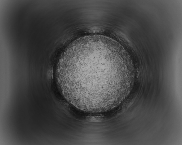 X0000095680368200801291202