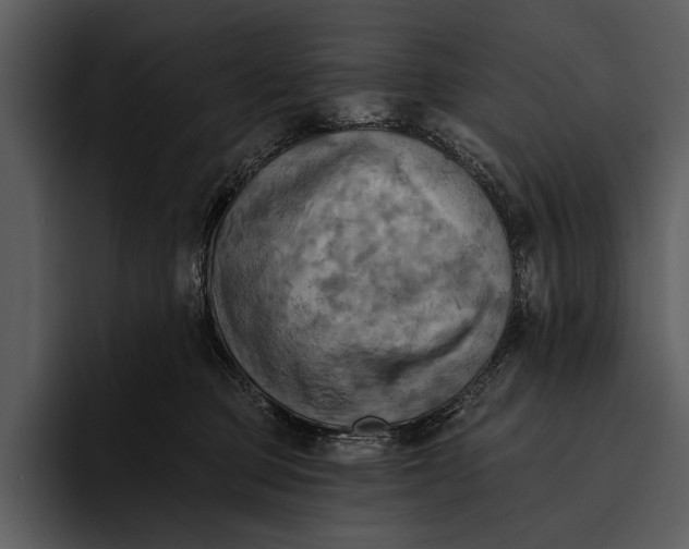 X0000095680373200801291202