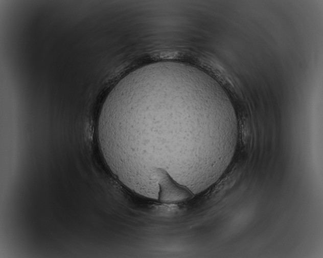 X0000095680374200801291202