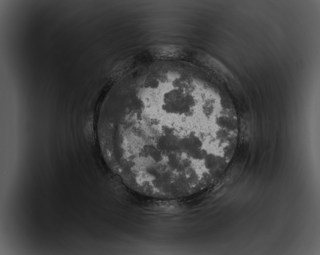 X0000095680377200801291202