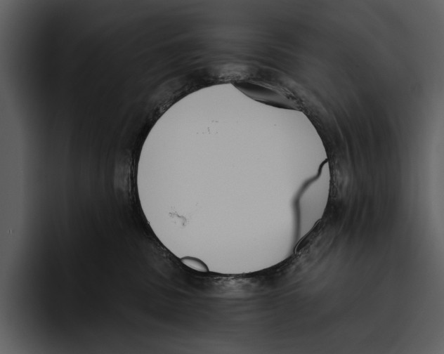 X0000095680379200801291202