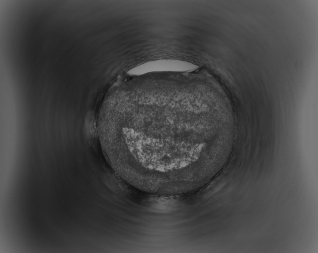 X0000095680384200801291202