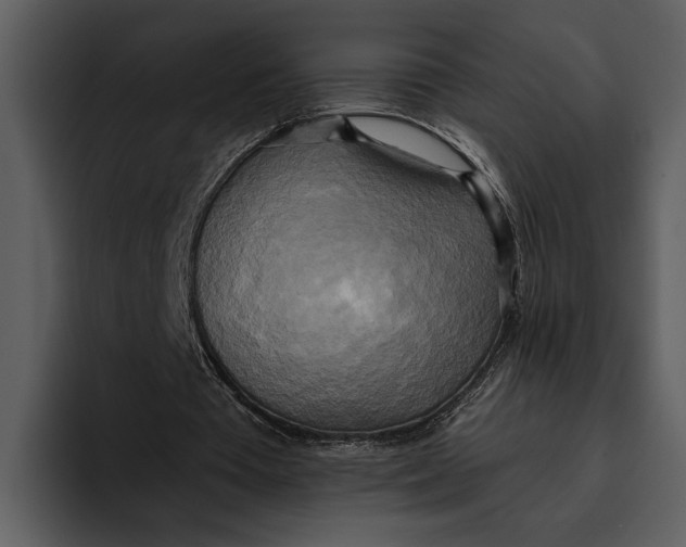 X0000095680385200801291201