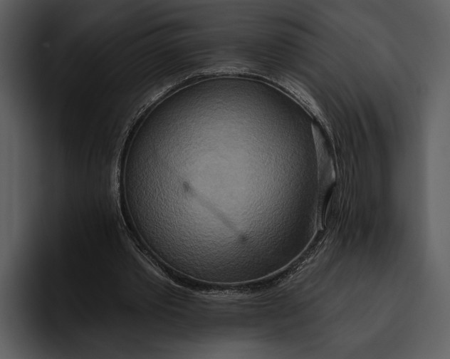 X0000095680389200801291201