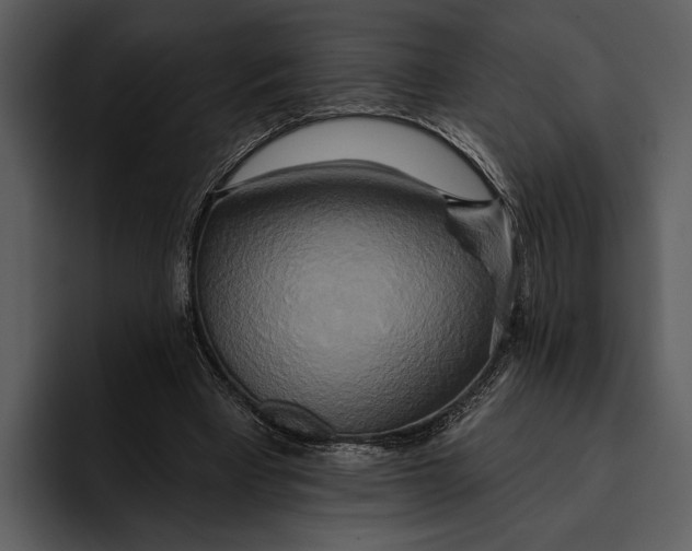 X0000095680393200801291201