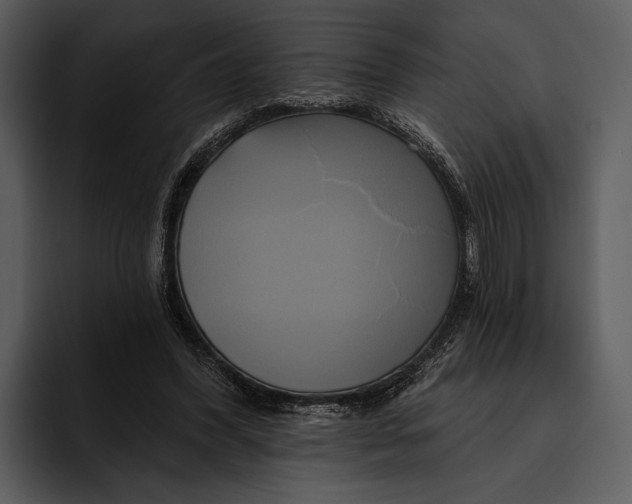 X0000095680396200801291201