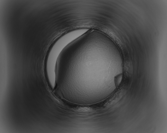 X0000095680397200801291201