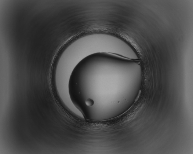 X0000095680399200801291201