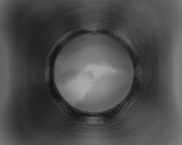 X0000095680400200801291201