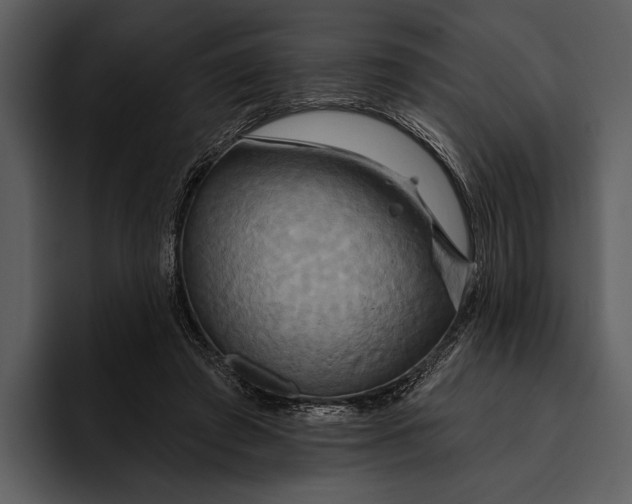 X0000095680401200801291201