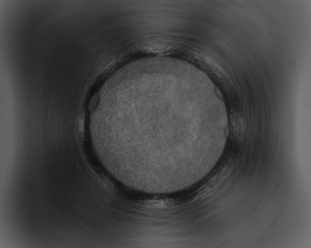 X0000095680404200801291201