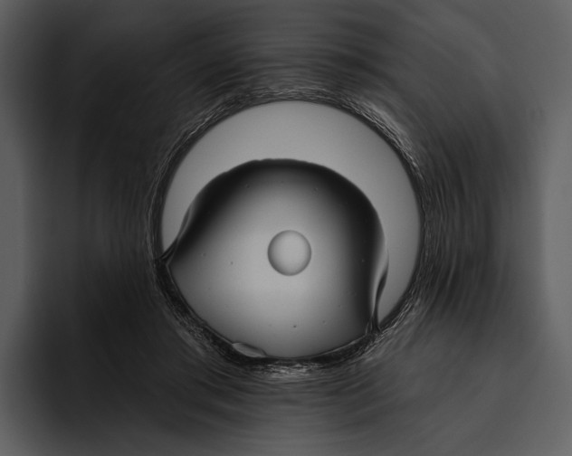 X0000095680405200801291201