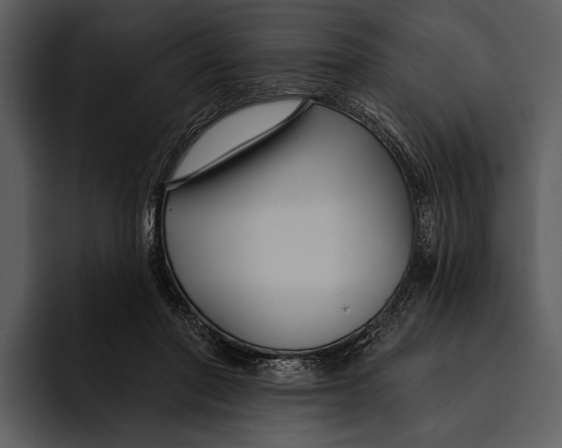 X0000095680406200801291201