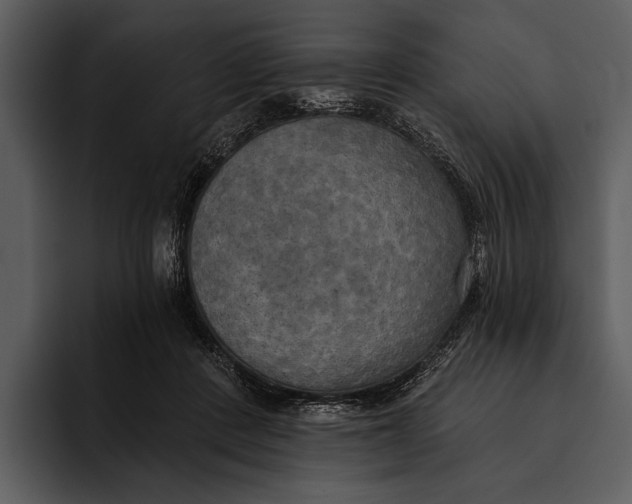 X0000095680408200801291201