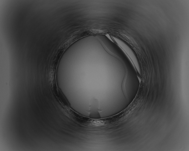 X0000095680409200801291201