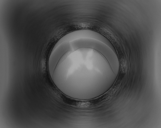 X0000095680410200801291201