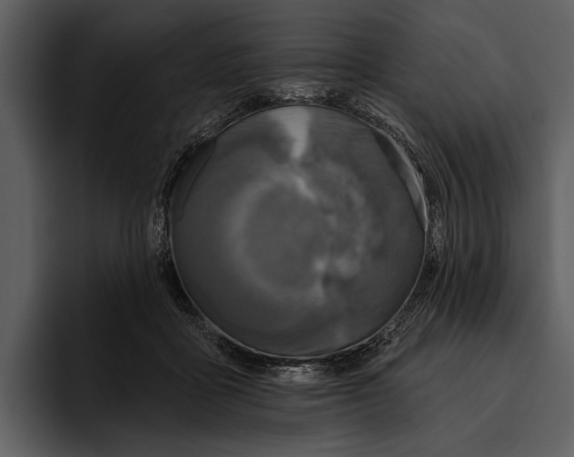 X0000095680411200801291201