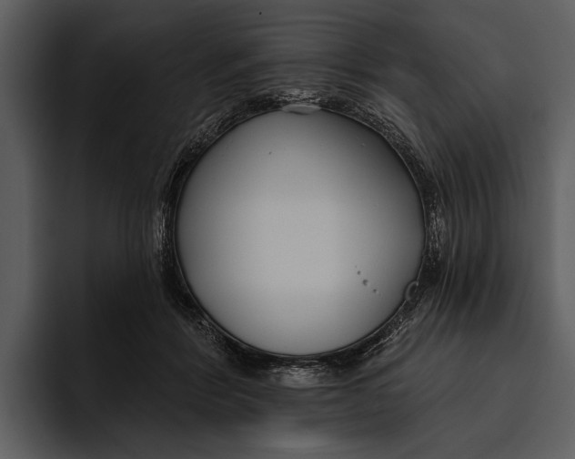 X0000095680412200801291201