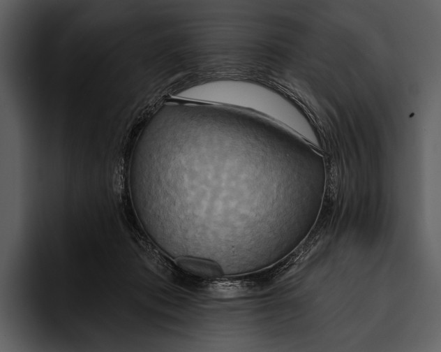 X0000095680413200801291201