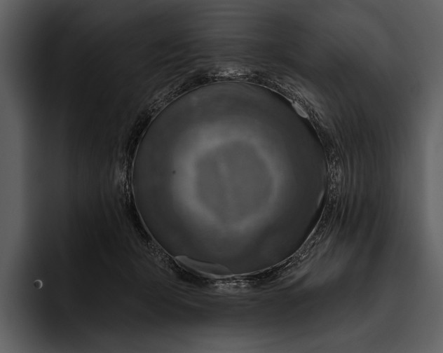 X0000095680415200801291201