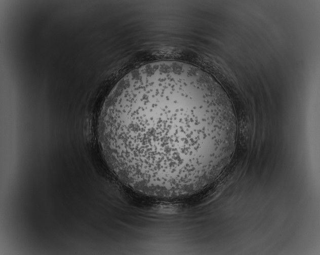 X0000095680416200801291201