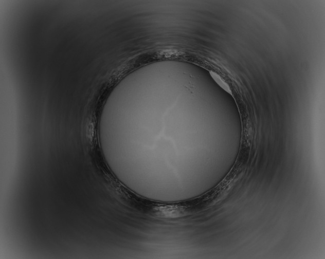 X0000095680417200801291201