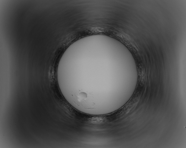 X0000095680418200801291201