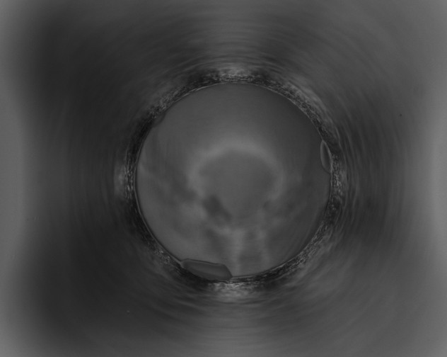 X0000095680419200801291201