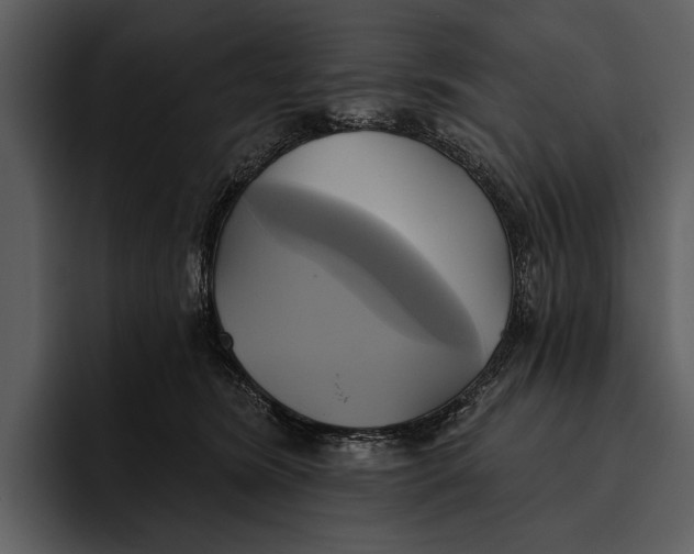 X0000095680420200801291201