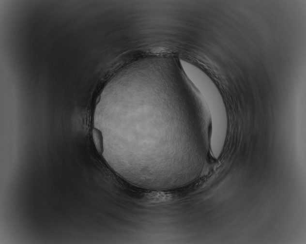 X0000095680421200801291201