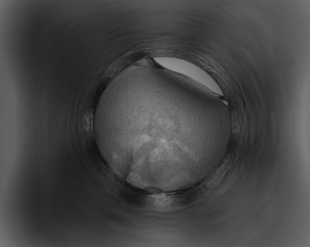 X0000095680425200801291201