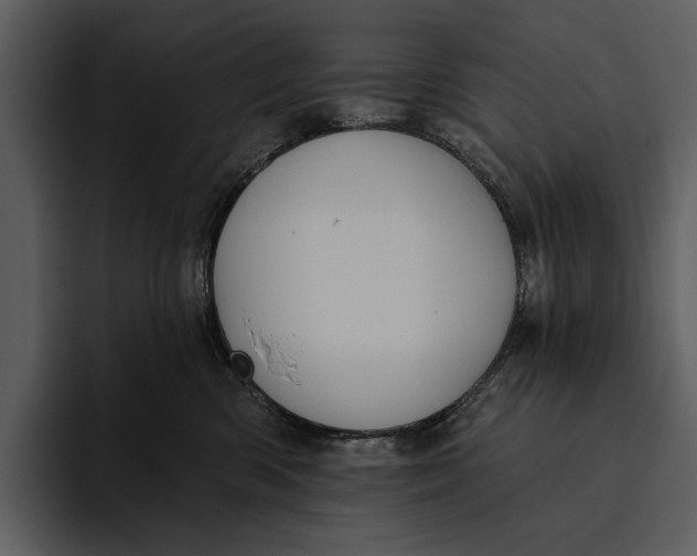 X0000095680426200801291201