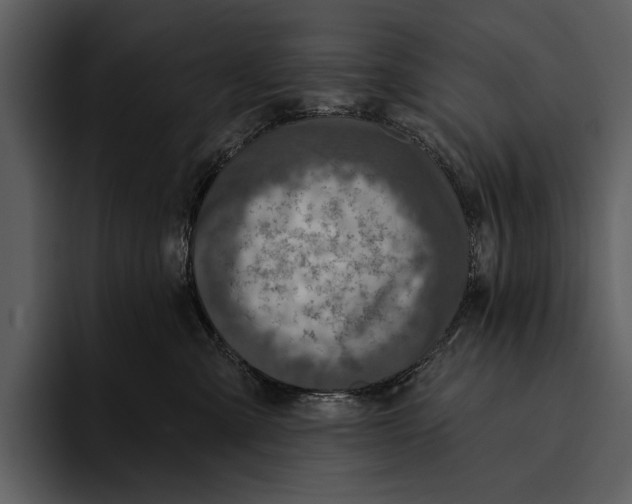 X0000095680427200801291201