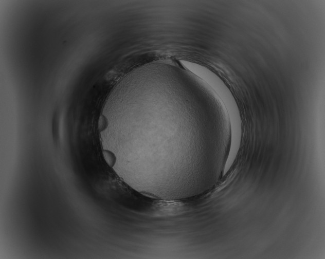 X0000095680429200801291201