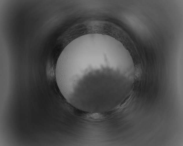 X0000095680431200801291201