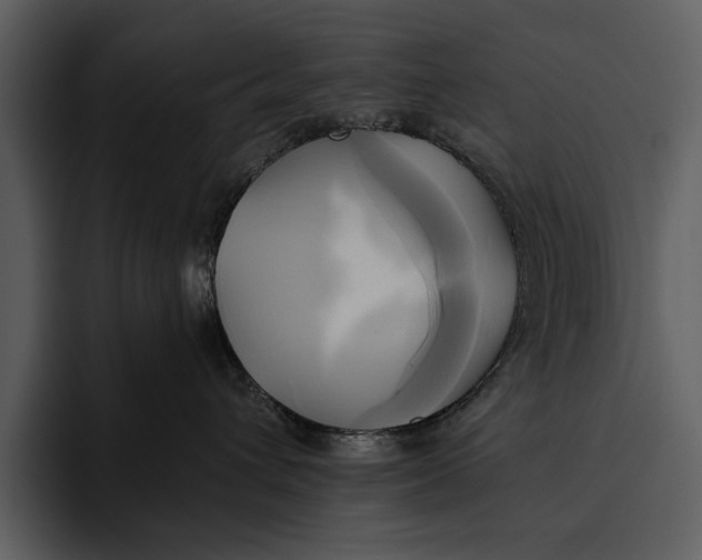 X0000095680432200801291201