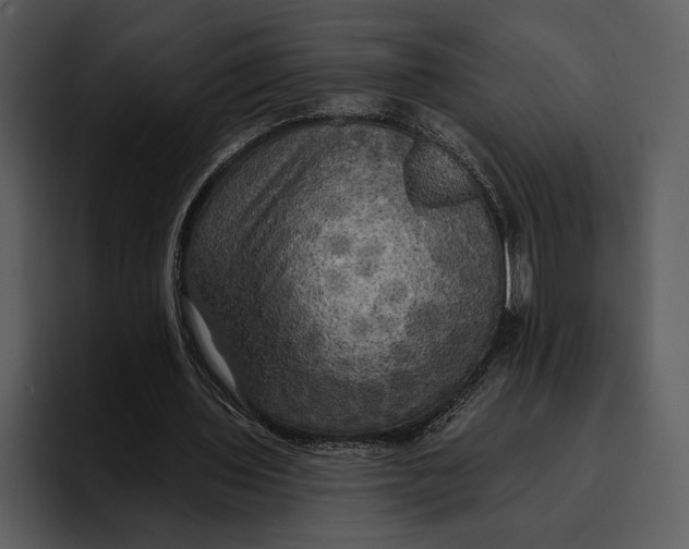 X0000095680435200801291200