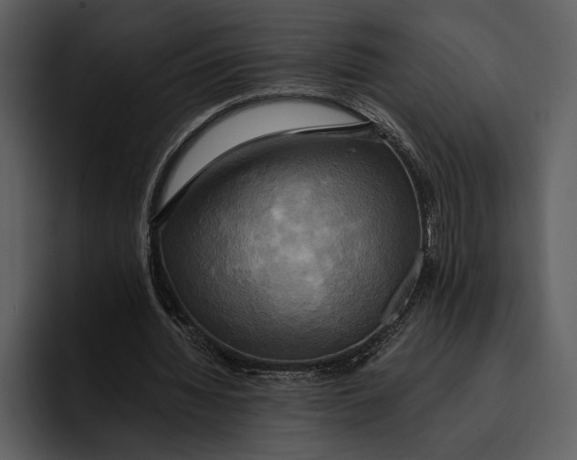 X0000095680436200801291200