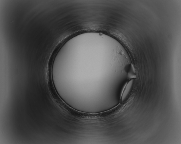 X0000095680439200801291200