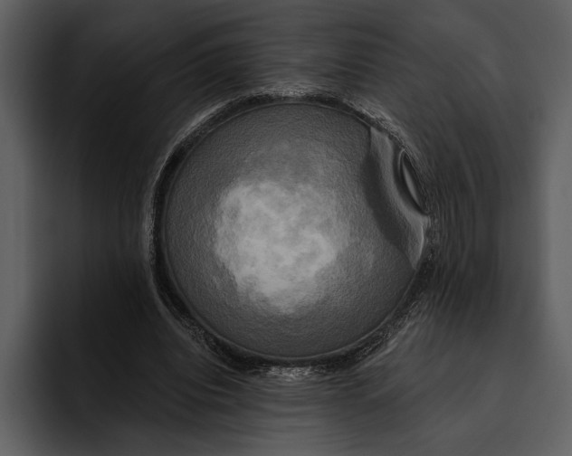 X0000095680440200801291200