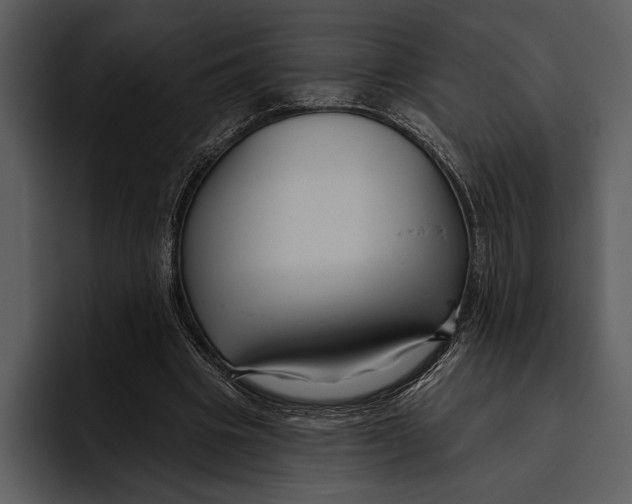 X0000095680441200801291200