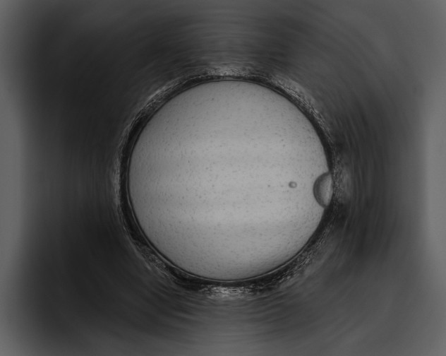 X0000095680442200801291200