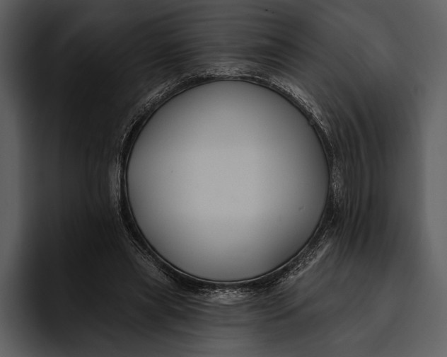 X0000095680445200801291200