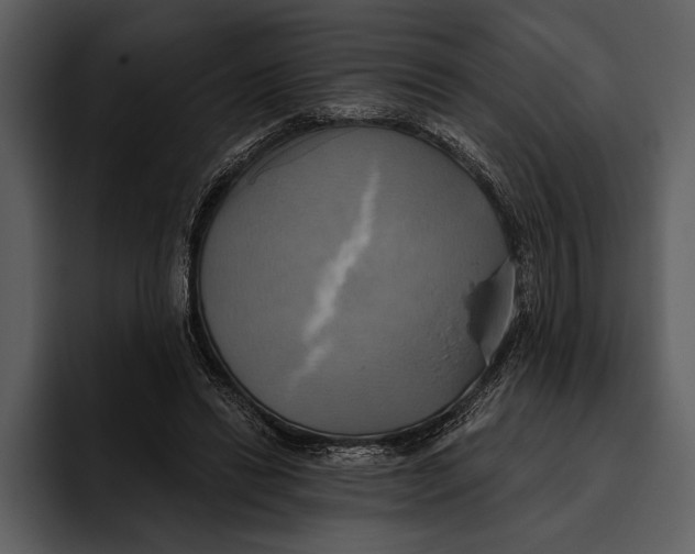 X0000095680446200801291200