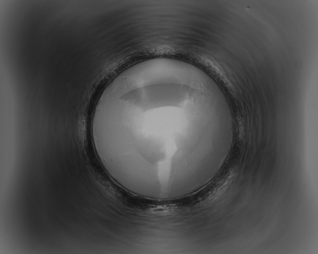 X0000095680447200801291200