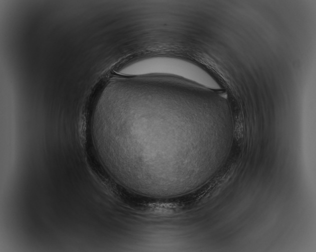 X0000095680448200801291200