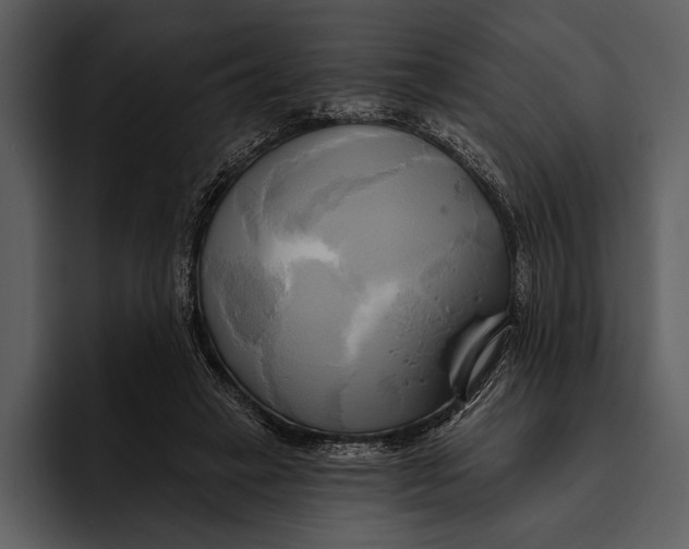 X0000095680449200801291200