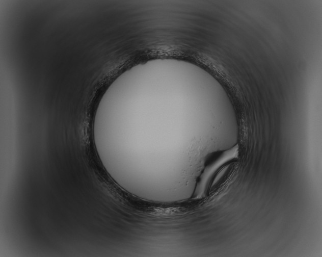 X0000095680450200801291200