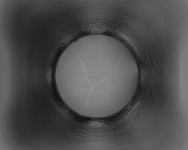 X0000095680451200801291200